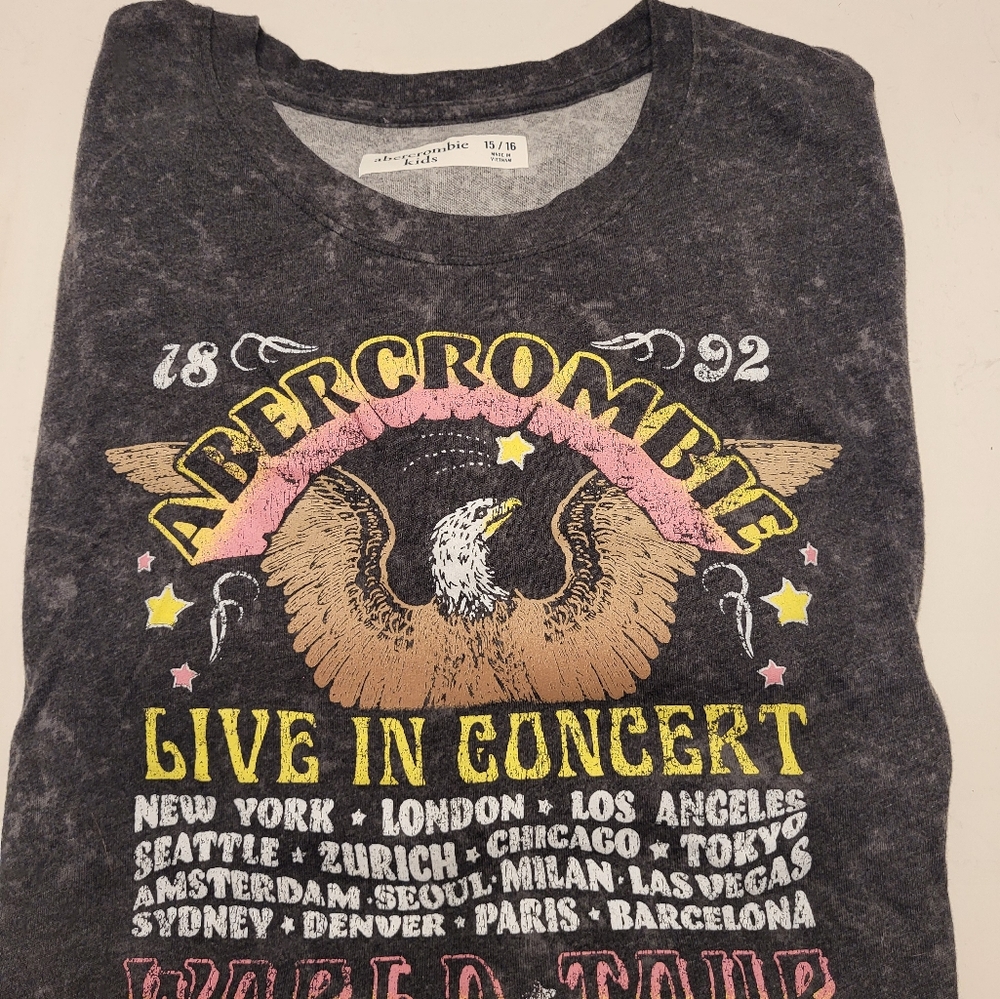 Abercrombie Graphic Tee - Stonewash